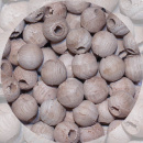 Edelkastanien - Perlen  8 mm ( 300 Stück )